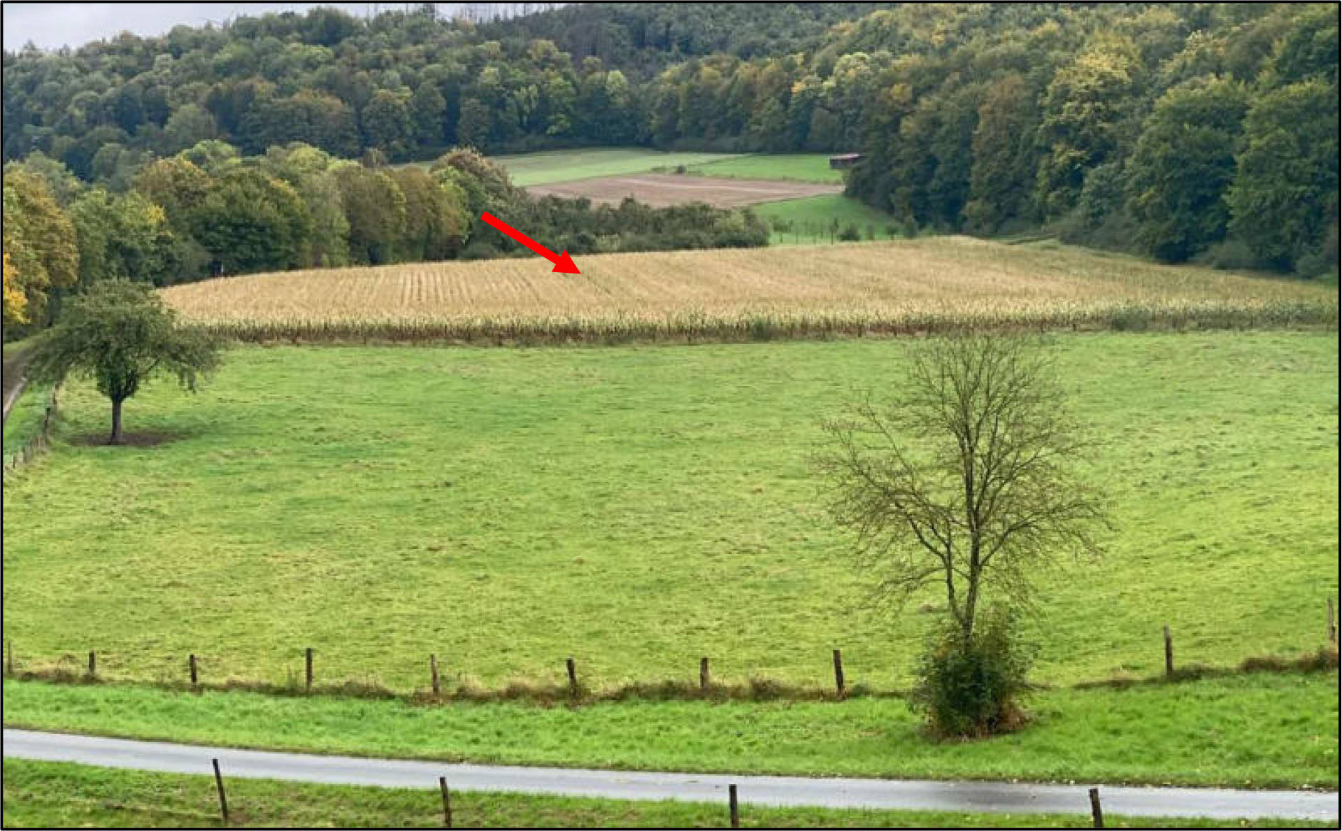 nordrheinwestpfalen 0014K0019-2024 Auf dem Anger, 33165 Lichtenau, Atteln