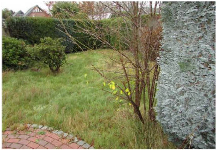 nordrheinwestpfalen 0014 K 0026/2025 Emmericher Straße 99, 46485 Wesel 29