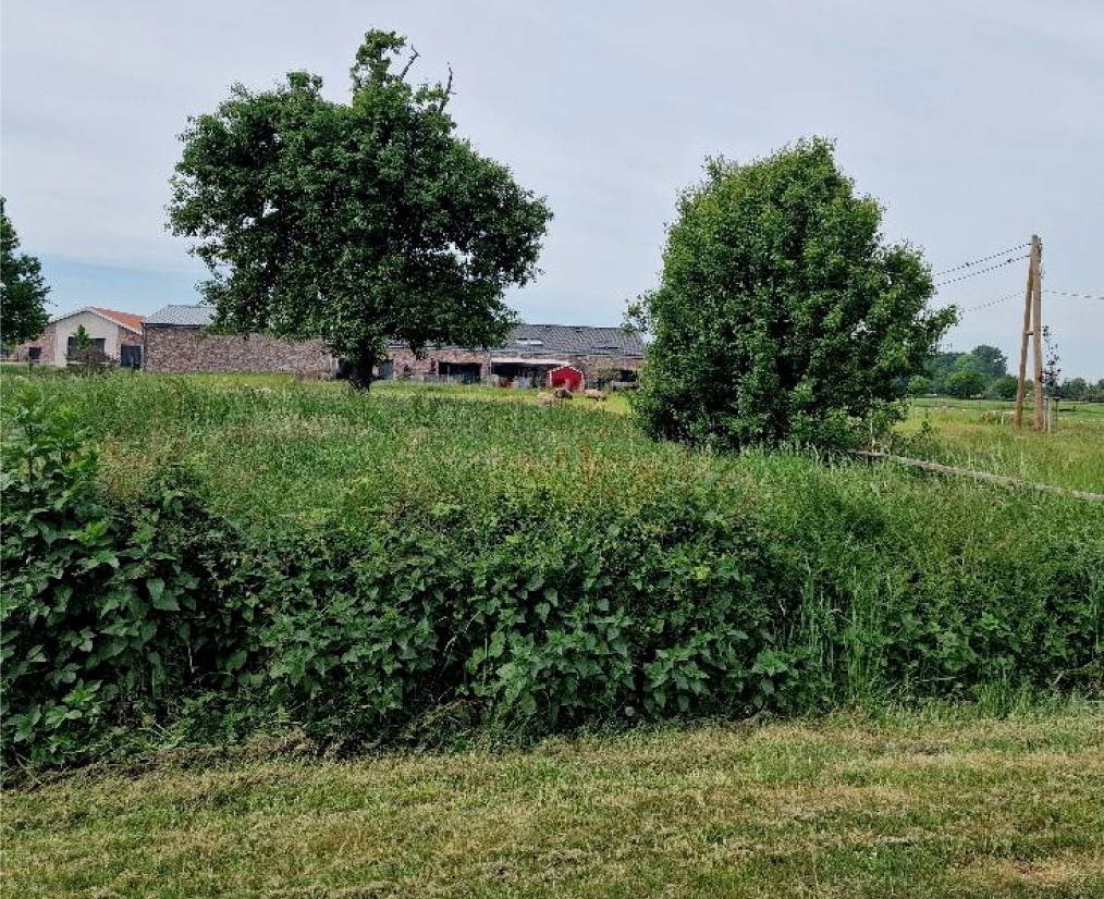 unbebautes Grundstück in Priorstraße, 46499 Hamminkeln - Bild 3