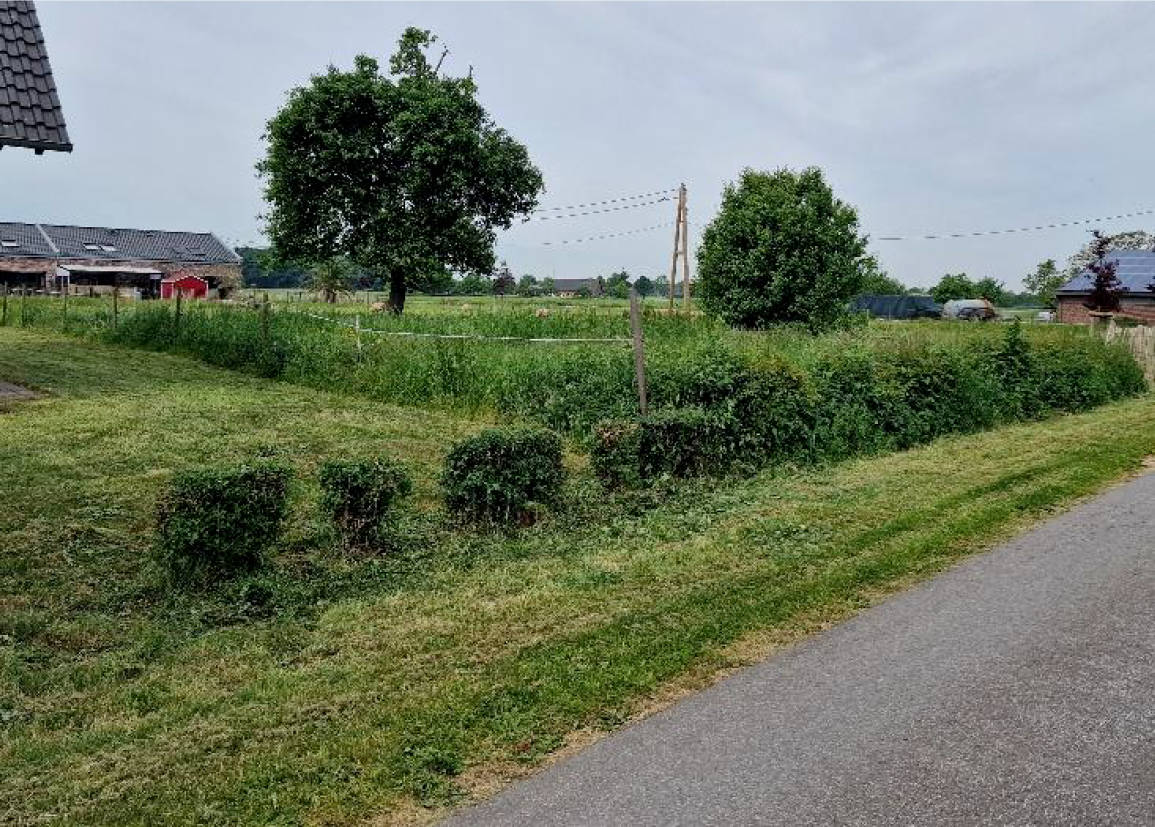 unbebautes Grundstück in Priorstraße, 46499 Hamminkeln