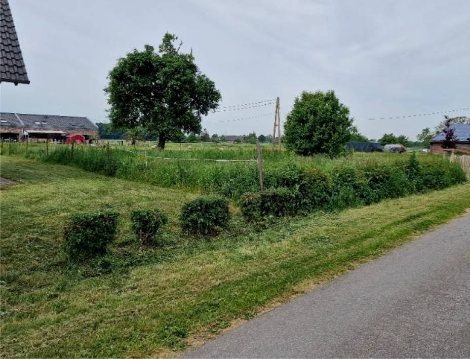 unbebautes Grundstück in Priorstraße, 46499 Hamminkeln - Bild 4