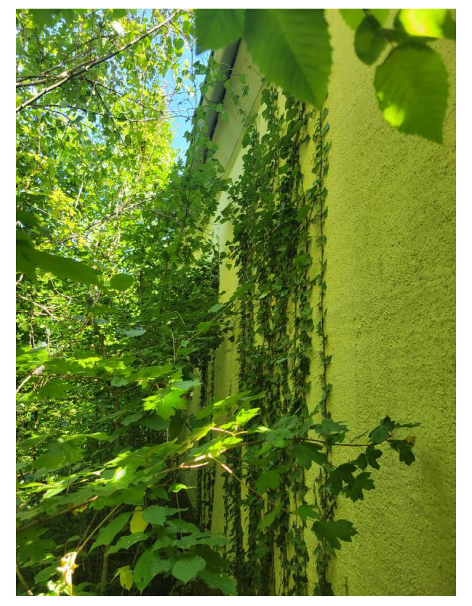 nordrheinwestpfalen 0014 K 0031/2021 Buchholz 1, 33100 Paderborn, Neuenbeken 6