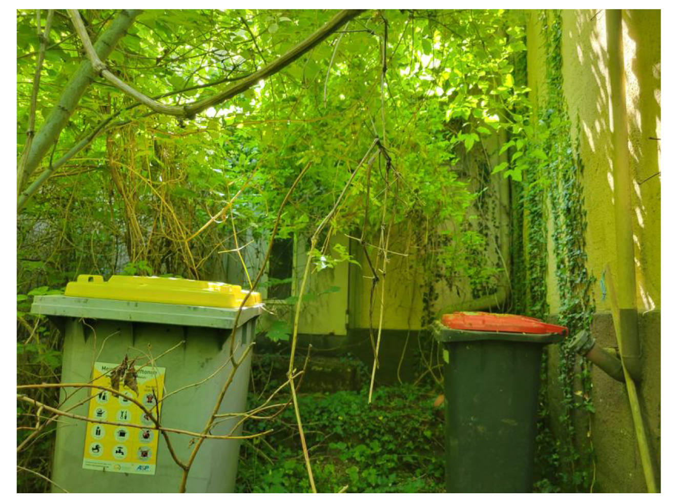 nordrheinwestpfalen 0014 K 0031/2021 Buchholz 1, 33100 Paderborn, Neuenbeken 9