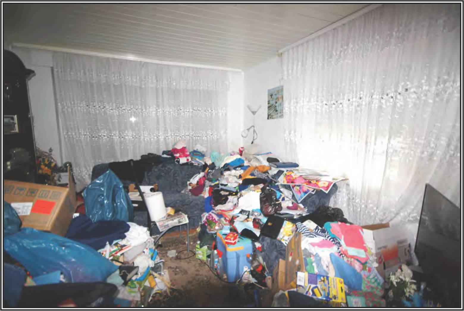 nordrheinwestpfalen 0014 K 0045/2023 Spechtenberg 6, 33142 Büren, Harth 12