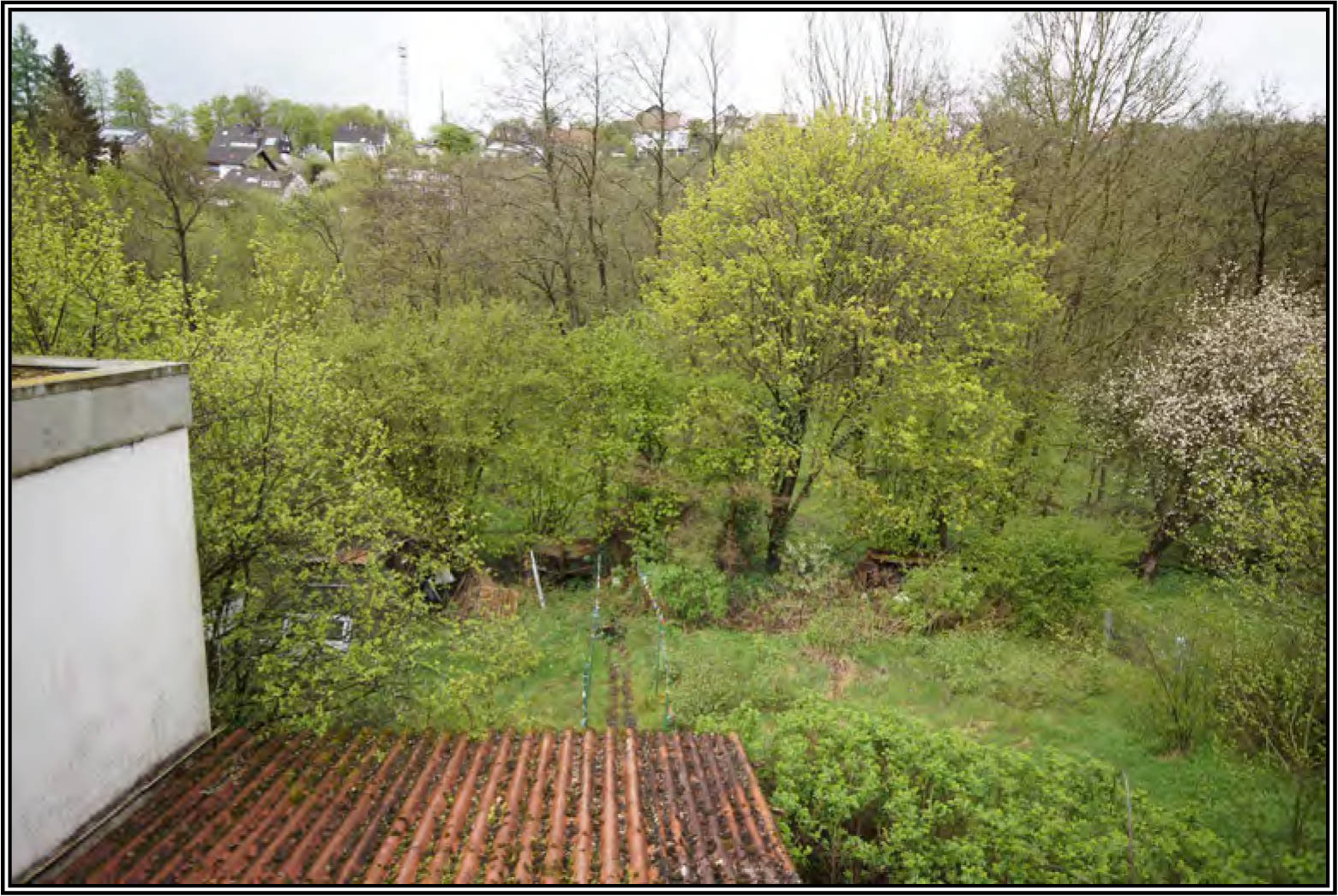 nordrheinwestpfalen 0014 K 0045/2023 Spechtenberg 6, 33142 Büren, Harth 11