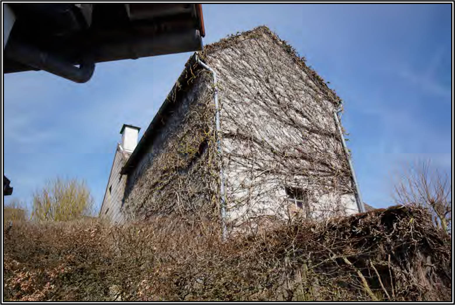 Garage, Einfamilienhaus in Birkengrund 1, 33181 Bad Wünnenberg, Fürstenberg