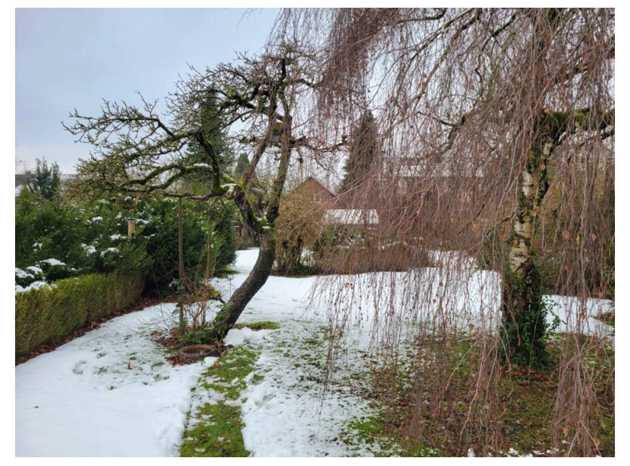 Zweifamilienhaus, Baugrundstück in Benhauser Str. 33, 33100 Paderborn, Paderborn - Bild 4