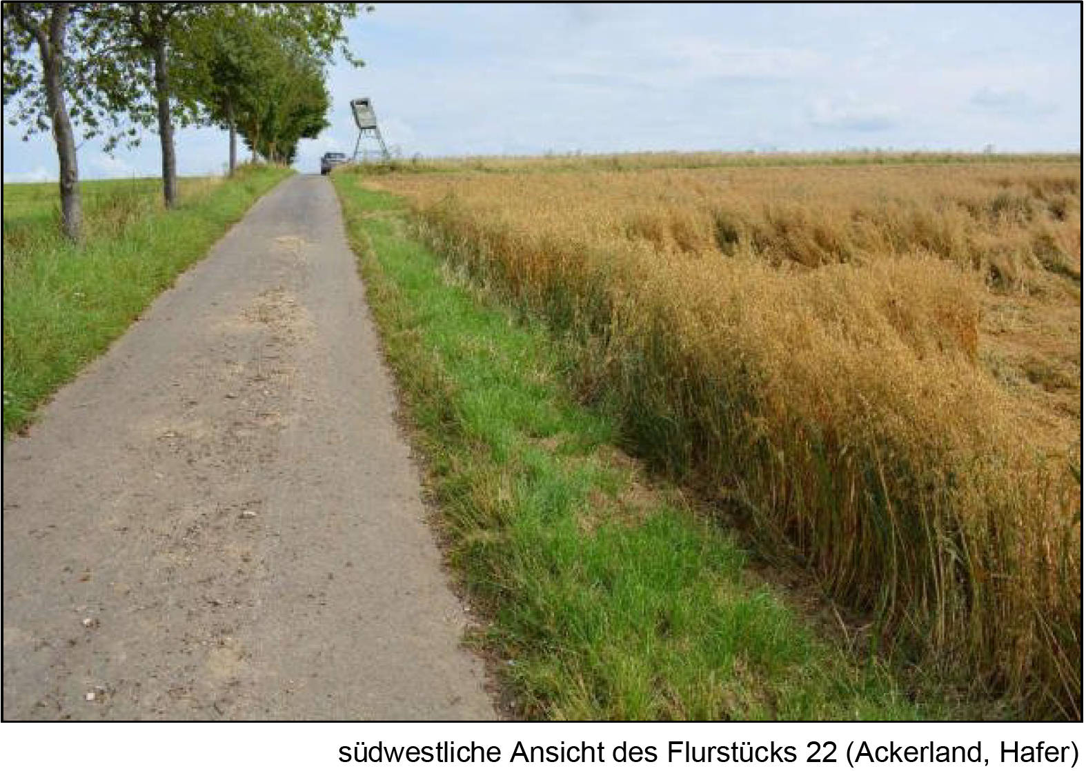 land- und forstwirtschaftlich genutztes Grundstück in Am Bruch, 33165 Lichtenau, Herbram - Bild 3