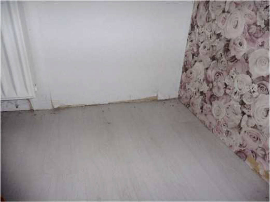 nordrheinwestpfalen 0016K0005/2024 Gungstr. 2, Johannesstr. 69, 46240 Bottrop 16