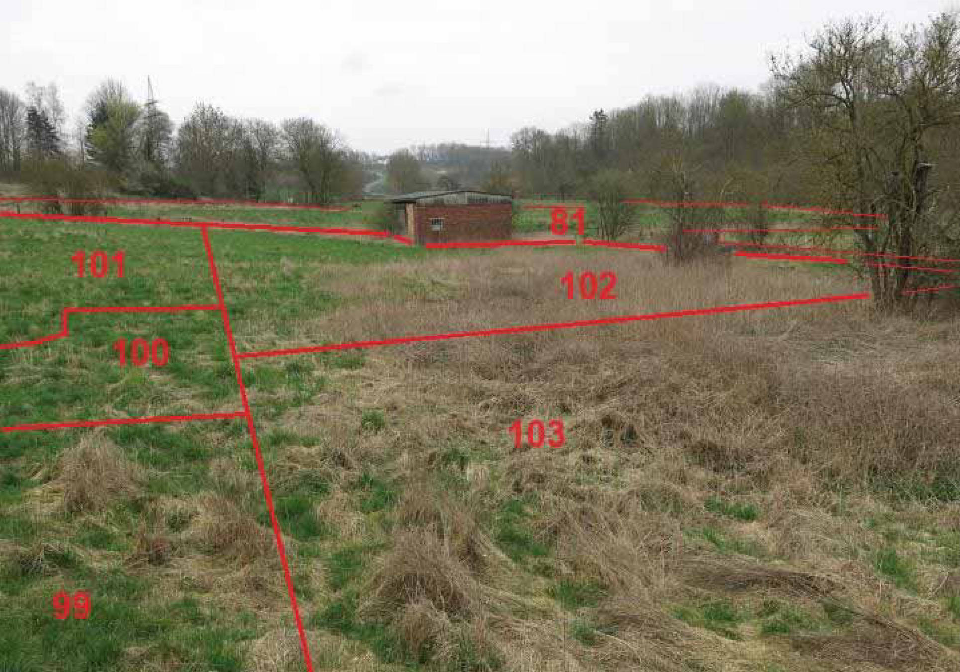 nordrheinwestpfalen 0017 K 0001/2023 Weberwiesen, 33034 Brakel 9