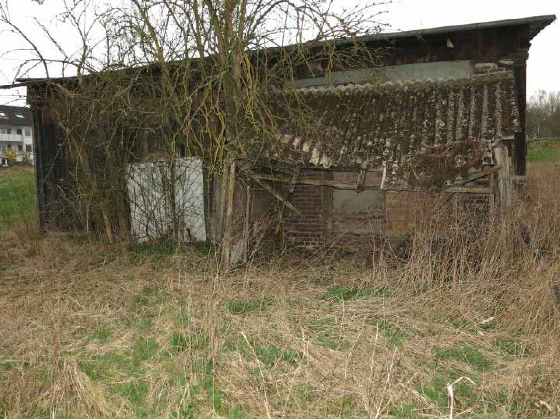 nordrheinwestpfalen 0017 K 0001/2023 Weberwiesen, 33034 Brakel 2