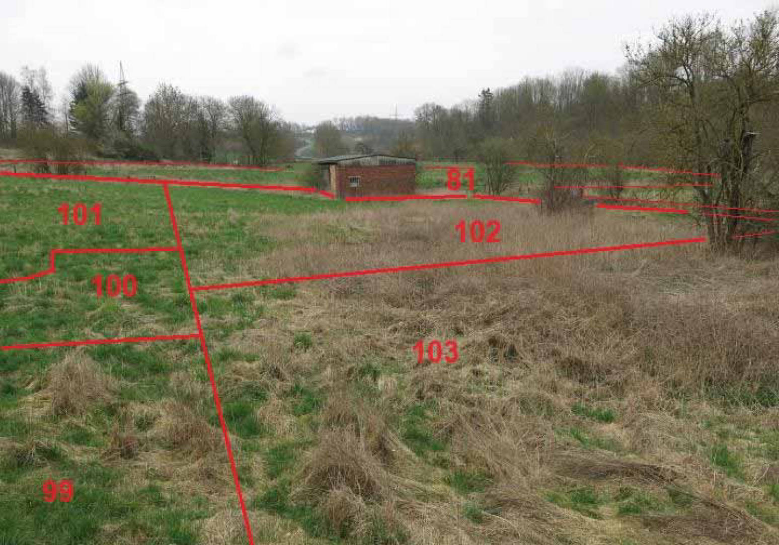 nordrheinwestpfalen 0017 K 0001/2023 Weberwiesen, 33034 Brakel 6