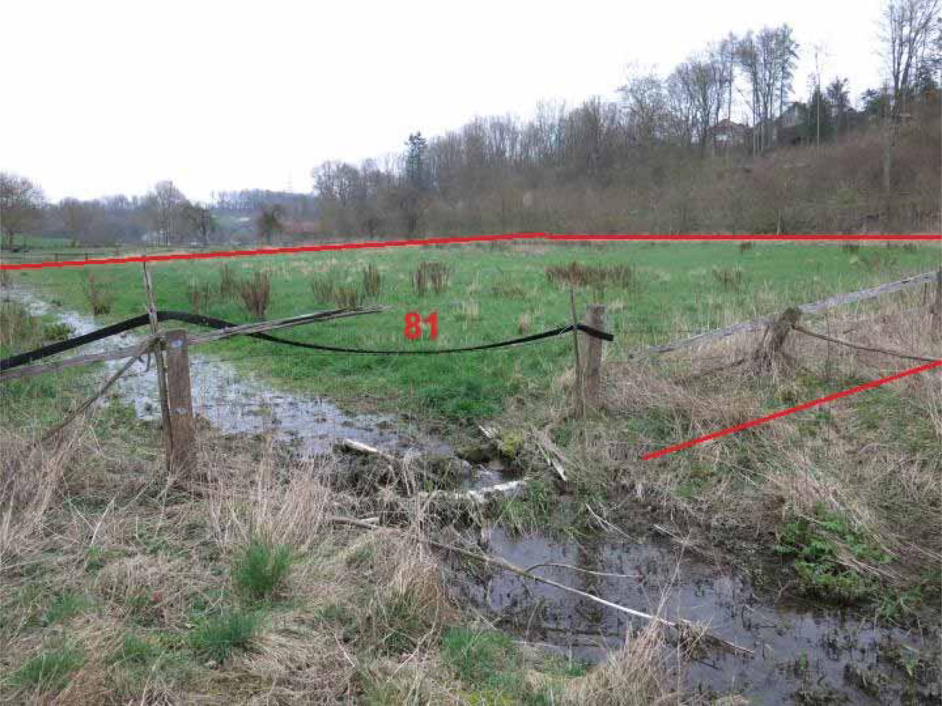 nordrheinwestpfalen 0017 K 0001/2023 Weberwiesen, 33034 Brakel 11