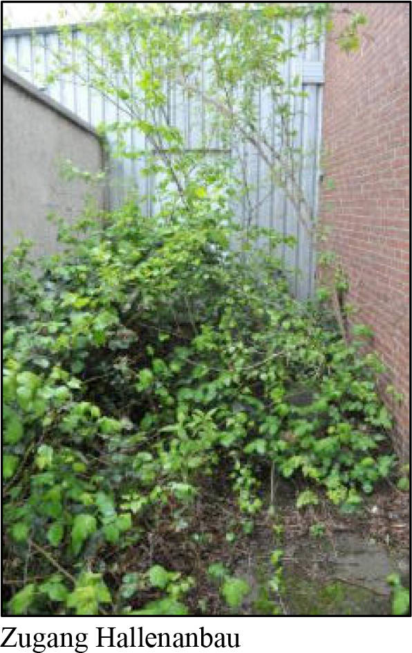 nordrheinwestpfalen 0017 K 0007/2024 Weißensteinstraße 98, 46149 Oberhausen 21