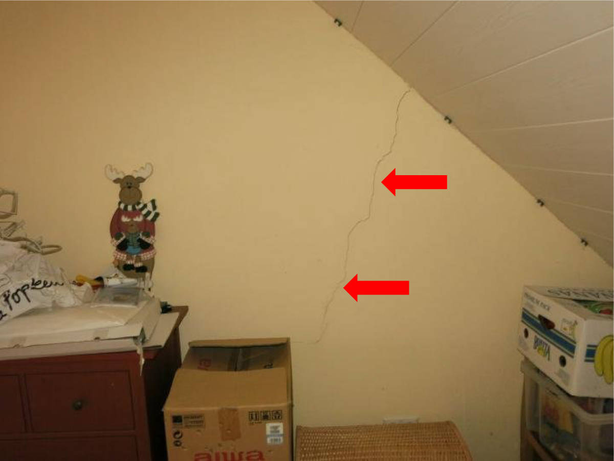Garage, Ein- bis Zweifamilienhaus mit Einliegerwohnung in In den Klappen 16, 33014 Bad Driburg, Neuenheerse - Bild 5