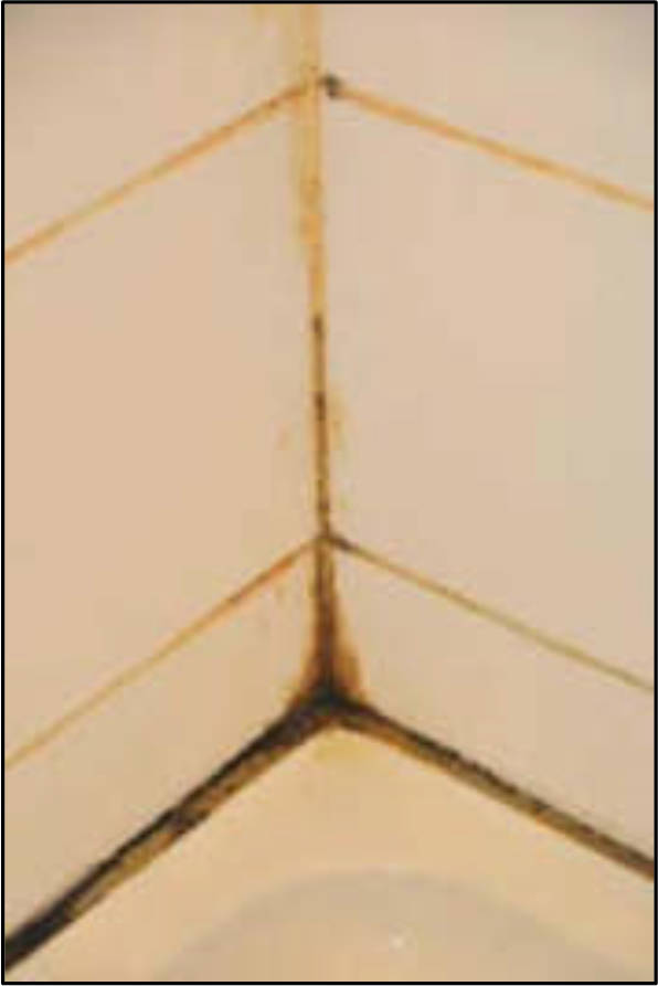 nordrheinwestpfalen 0017 K 0018/2024 Duisburger Straße 222, 46049 Oberhausen 33