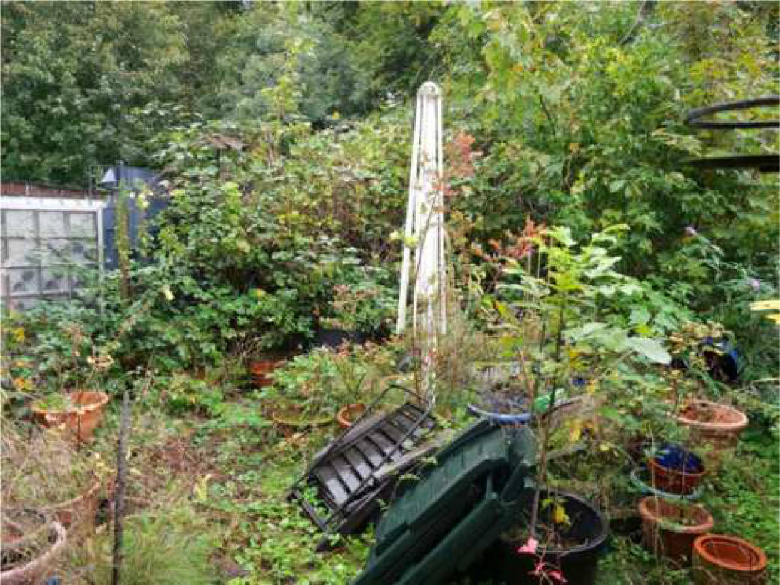 nordrheinwestpfalen 0017 K 0037/2024 Andreas-Hofer-Straße 62, 46119 Oberhausen 17