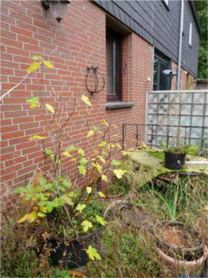 Garage, Einfamilienhaus, Reihenhaus in Andreas-Hofer-Straße 62, 46119 Oberhausen - Bild 3