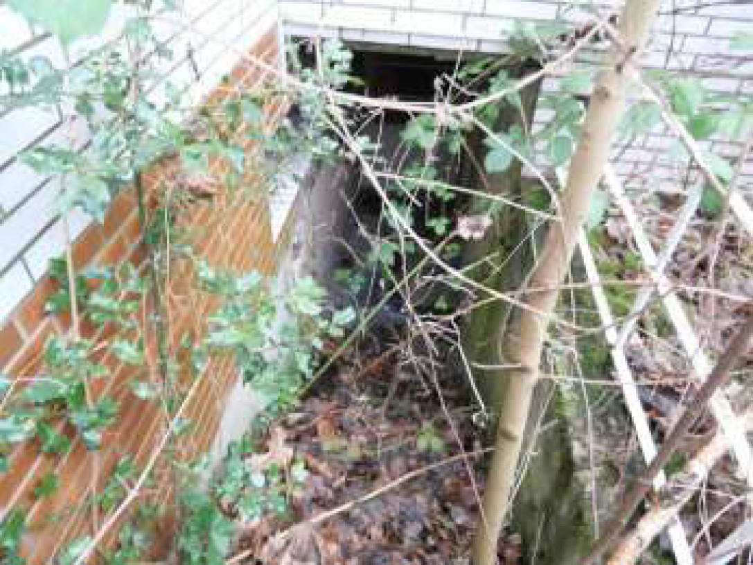 nordrheinwestpfalen 0017K0063/2024 Kottenstraße 8, 46117 Oberhausen 11