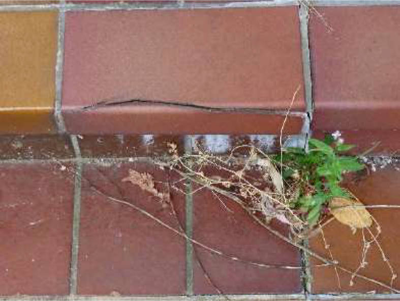 nordrheinwestpfalen 0018 K 0001/2025 Maastrichter Straße 18, 52134 Herzogenrath 8