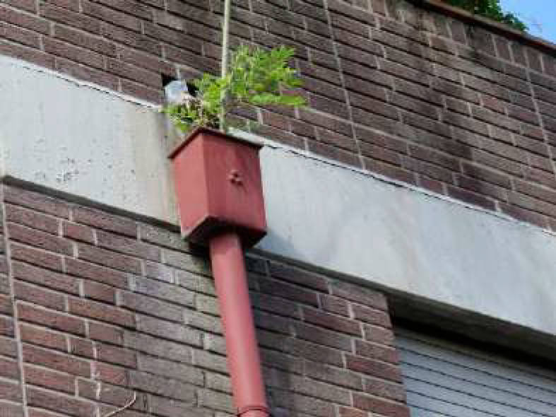 nordrheinwestpfalen 0018 K 0001/2025 Maastrichter Straße 18, 52134 Herzogenrath 12