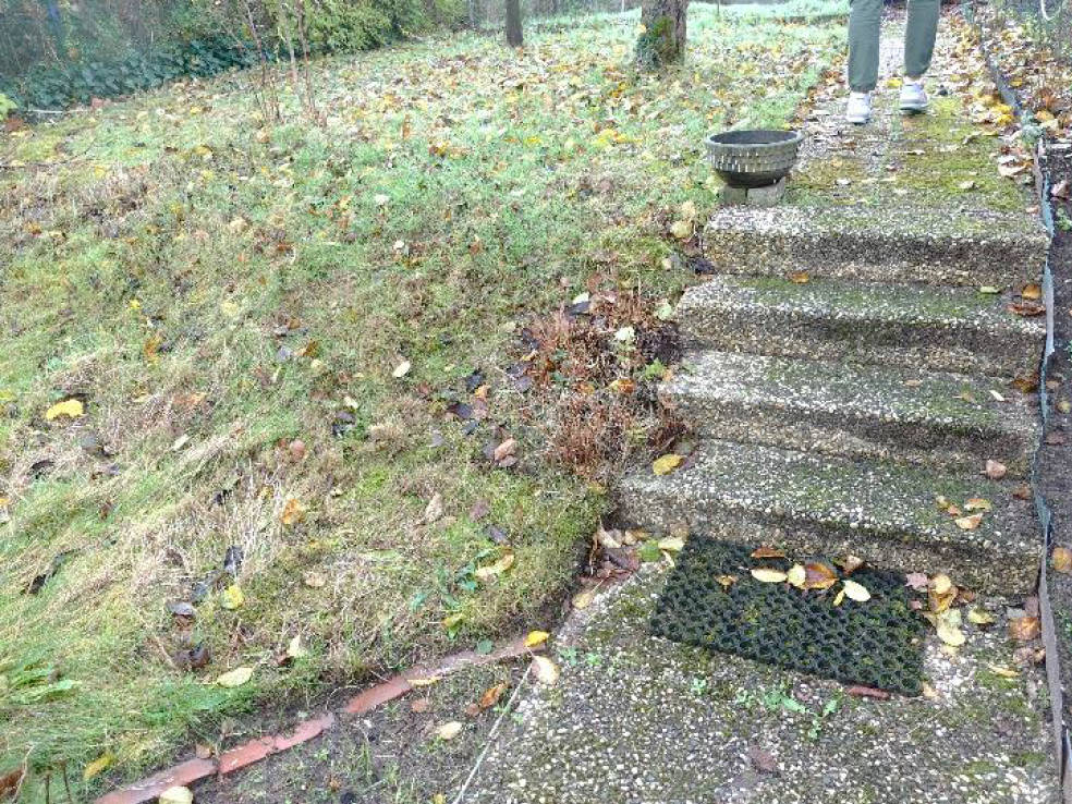 nordrheinwestpfalen 0018 K 0003/2023 Henkelbrey 66, 46286 Dorsten, Wulfen 6