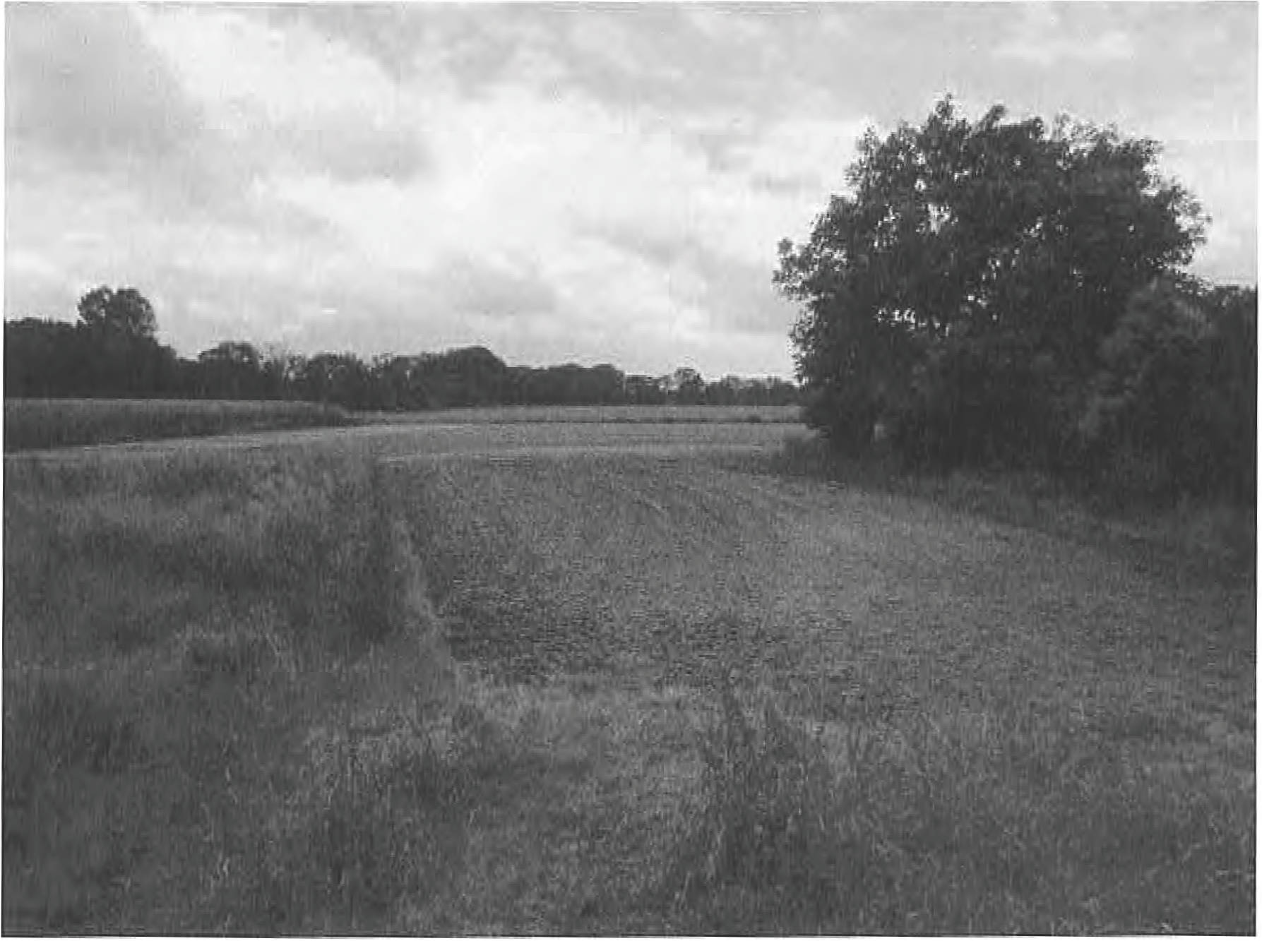 nordrheinwestpfalen 0018K0016-2020 Nien Land, 46286 Dorsten, Wulfen-Deuten 6