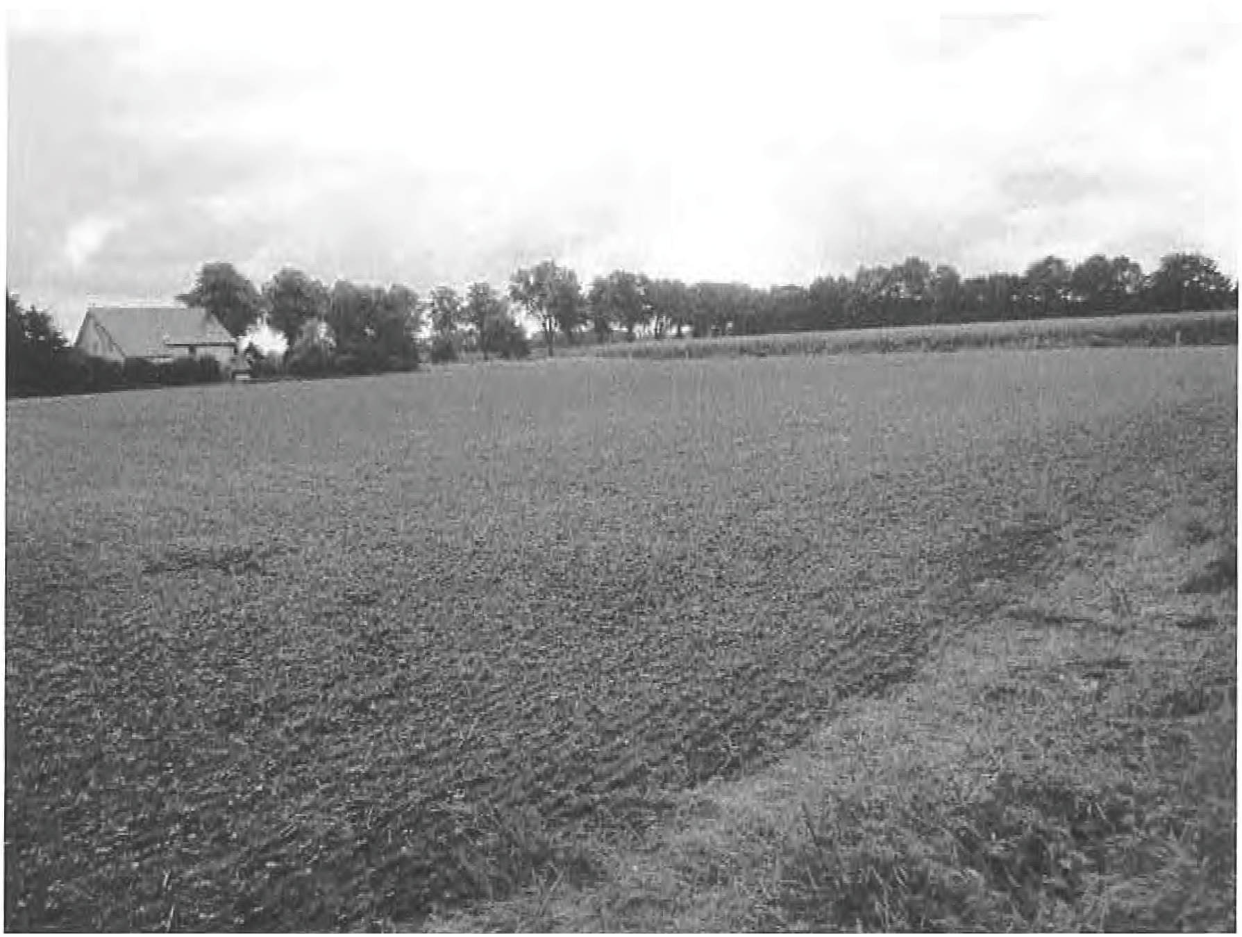 Landwirtschaftliche Fläche, Ackerland in Nien Land, 46286 Dorsten, Wulfen-Deuten