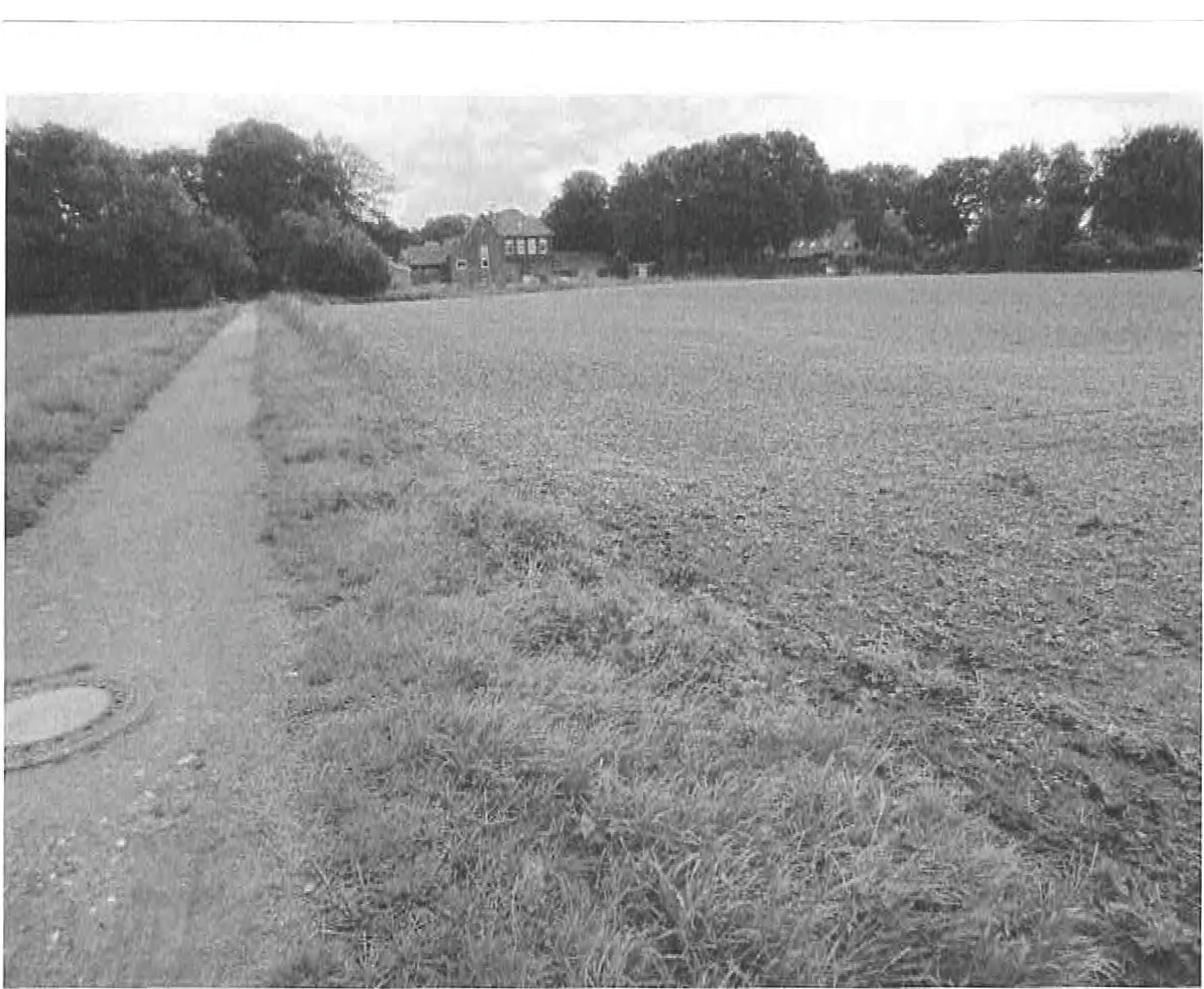 Landwirtschaftliche Fläche, Ackerland in Nien Land, 46286 Dorsten, Wulfen-Deuten - Bild 2