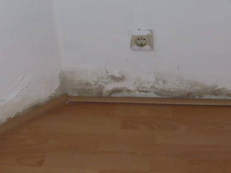 nordrheinwestpfalen 0018K0069/2021 Am Bayerhaus 2, 52080 Aachen, Eilendorf 8