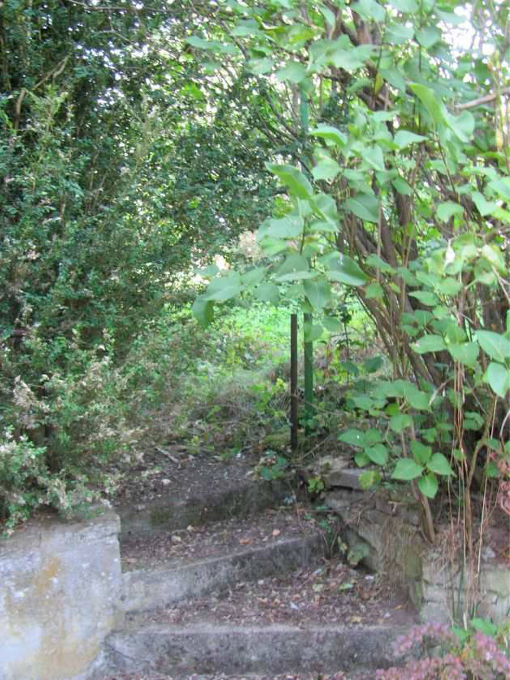 nordrheinwestpfalen 0019 K 0001/2025 Am Backhaus 3, 33767 Höxter, Brenkhausen 8