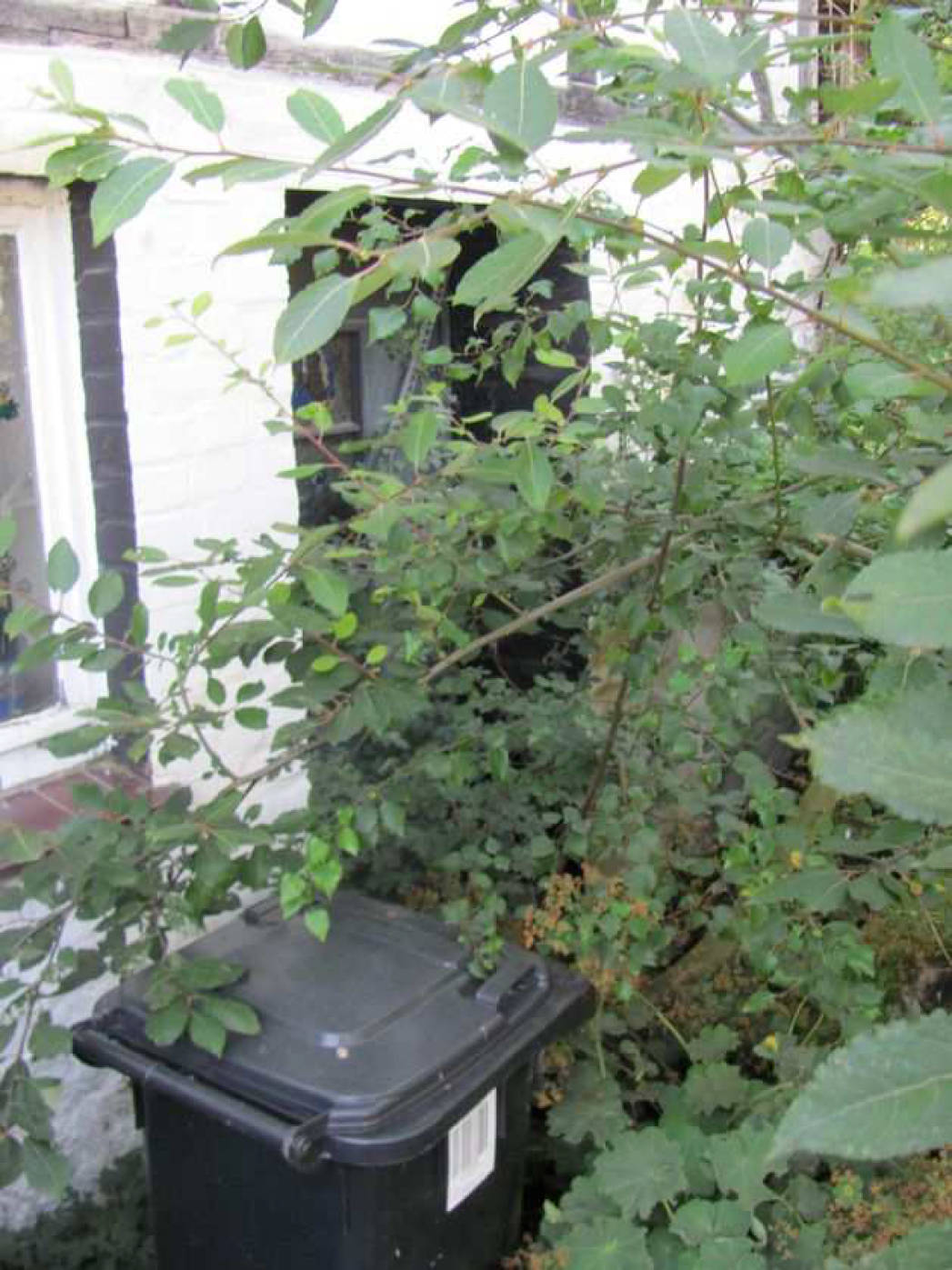 nordrheinwestpfalen 0019 K 0001/2025 Am Backhaus 3, 33767 Höxter, Brenkhausen 13