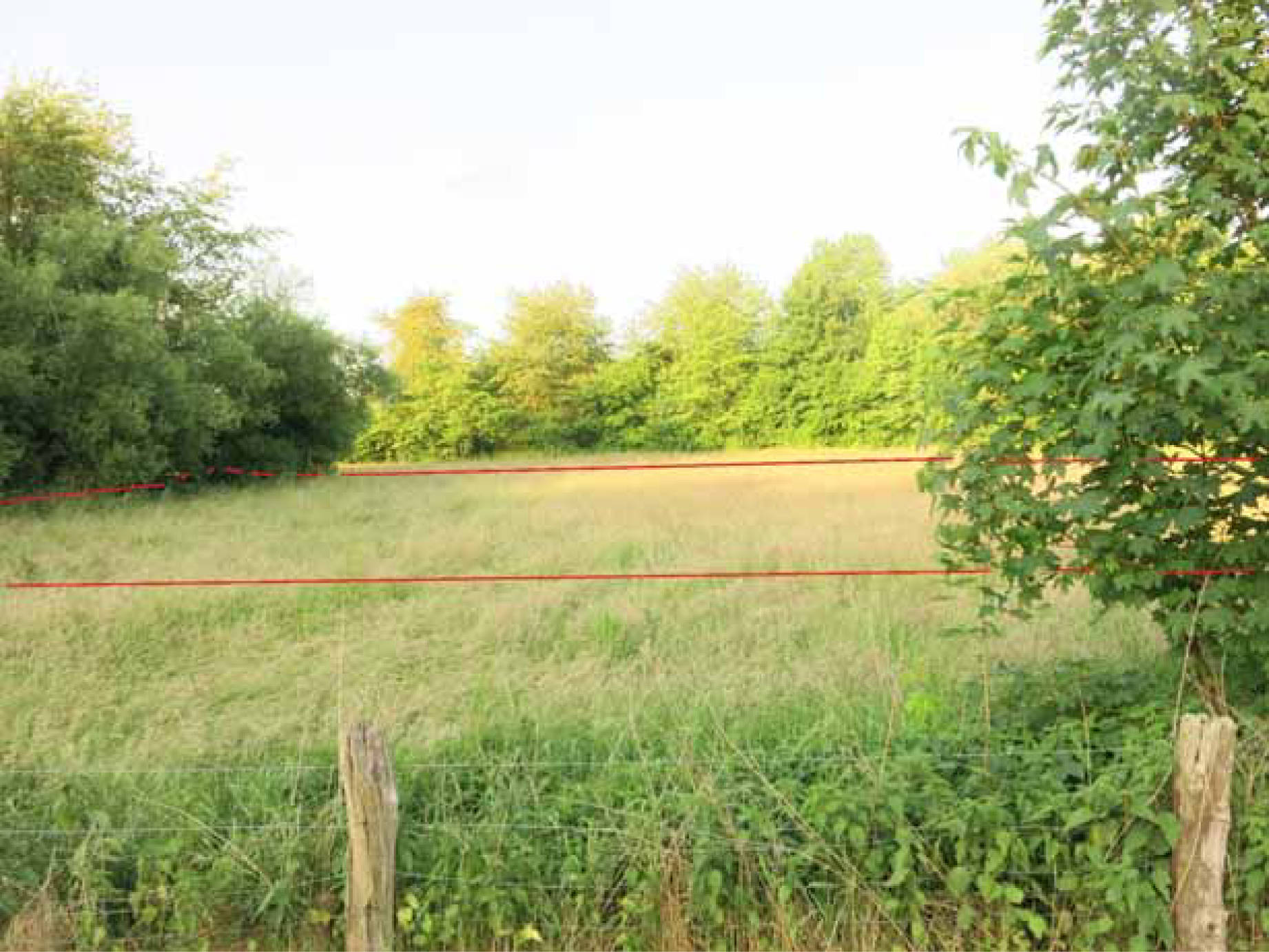 Grünland in Abgunst, 37671 Höxter, Albaxen