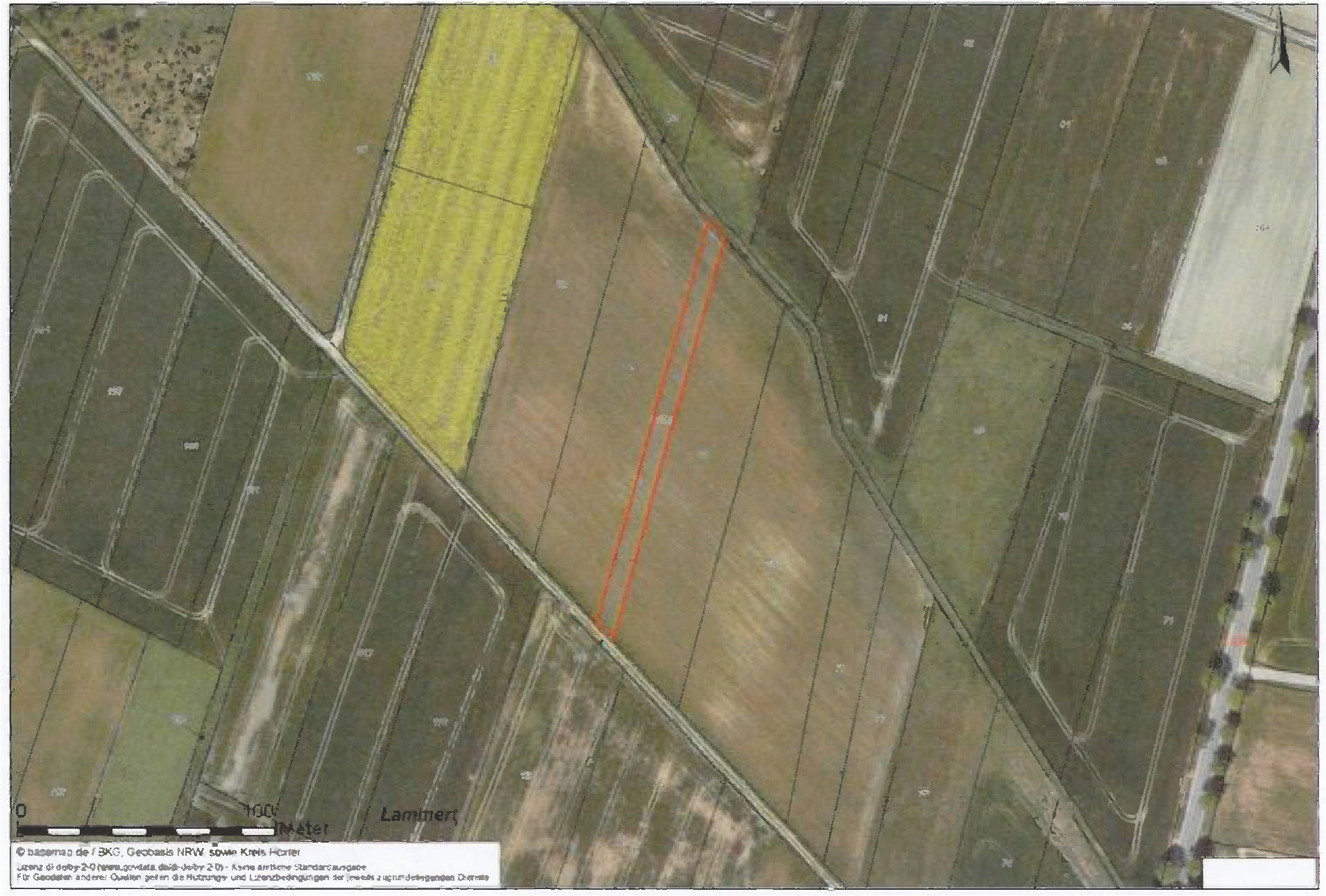nordrheinwestpfalen 0019K0012-2024 , 34414 Borgentreich-Bühne
