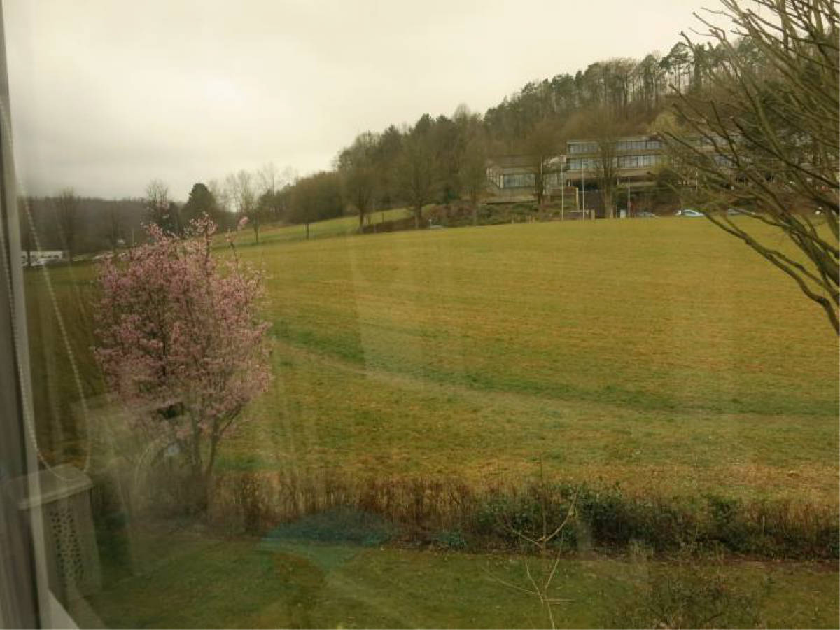 nordrheinwestpfalen 0019K0013-2024 Triftweg, 37671 Höxter, Höxter 9