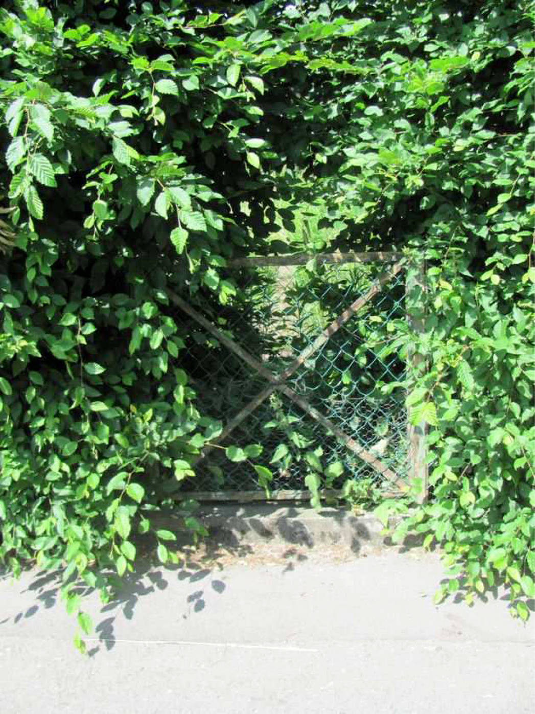 nordrheinwestpfalen 0019 K 0013/2025 Im Kleinen Feld, 37688 Beverungen 19