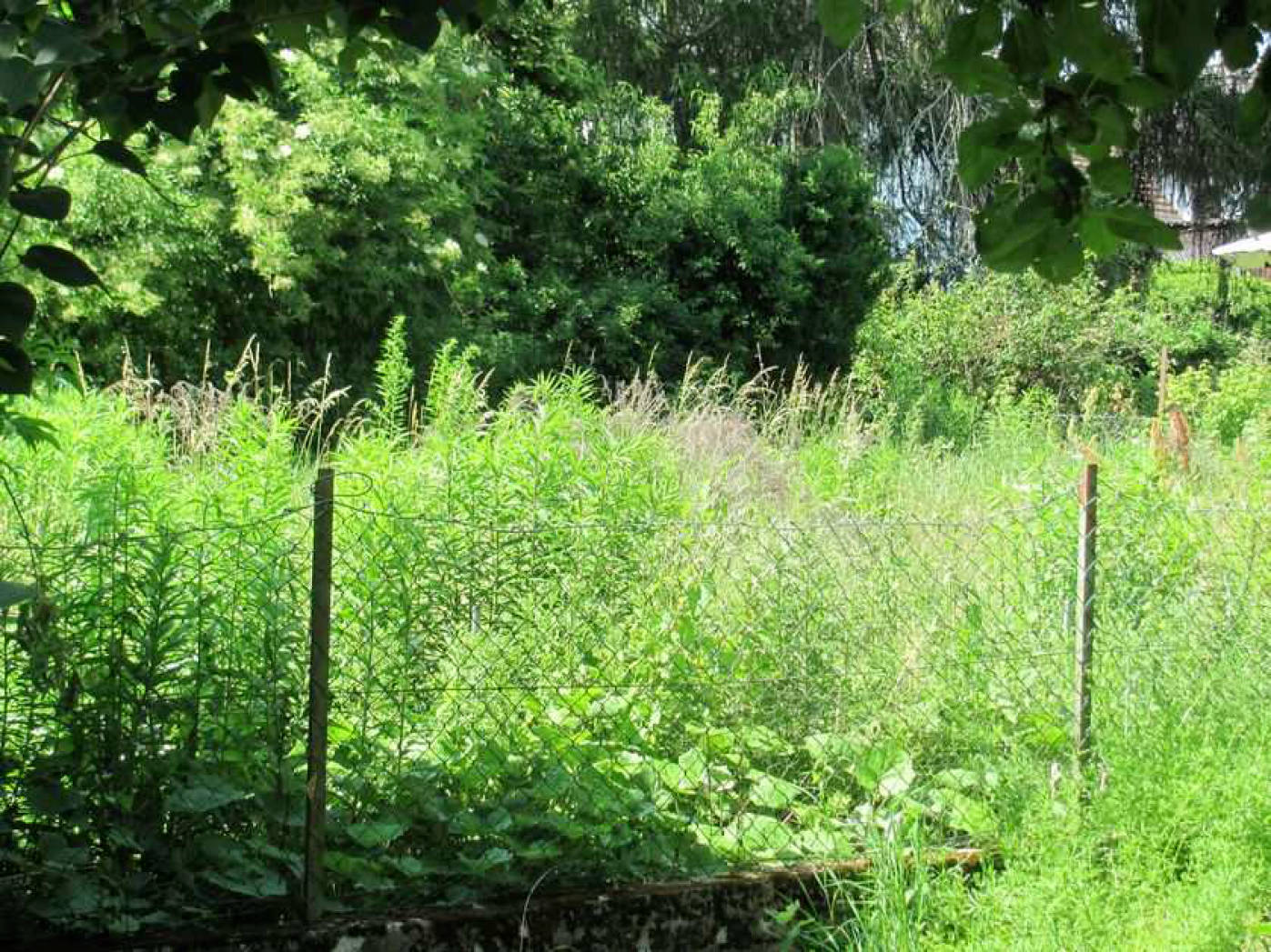 nordrheinwestpfalen 0019 K 0013/2025 Im Kleinen Feld, 37688 Beverungen 20