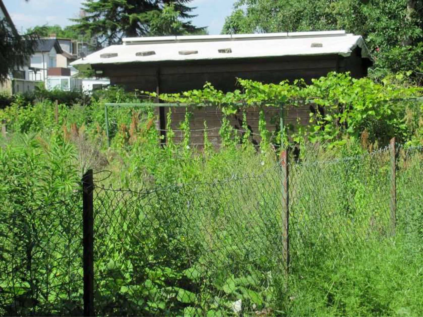 Sport-, Freizeit- und Erholungsfläche - Garten mit Gartenlaube in Im Kleinen Feld, 37688 Beverungen
