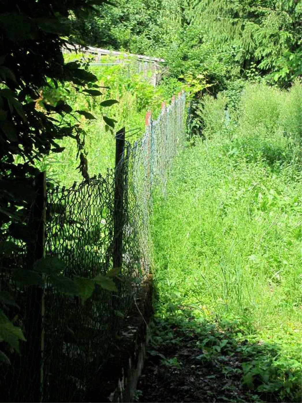 nordrheinwestpfalen 0019 K 0013/2025 Im Kleinen Feld, 37688 Beverungen 15