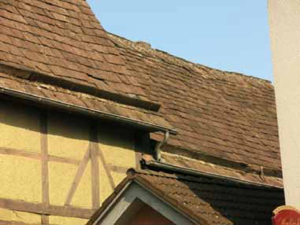 nordrheinwestpfalen 0019 K 0021/2024 Westerbachstraße 44, 37671 Höxter, Höxter 8