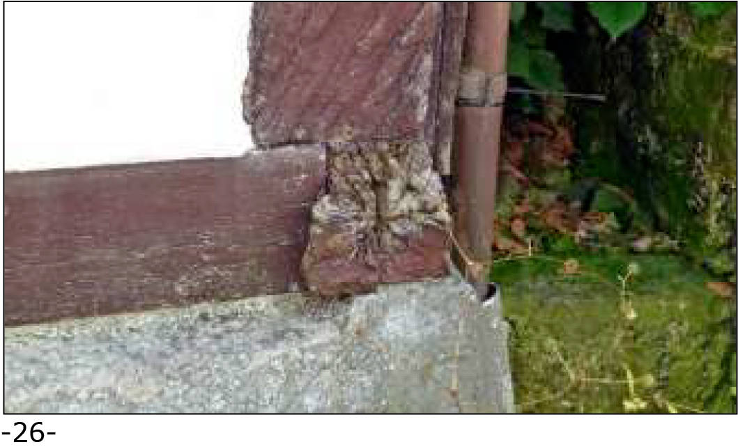 nordrheinwestpfalen 0021 K 0001/2024 In der Tränke 2, 32816 Schieder-Schwalenberg 25