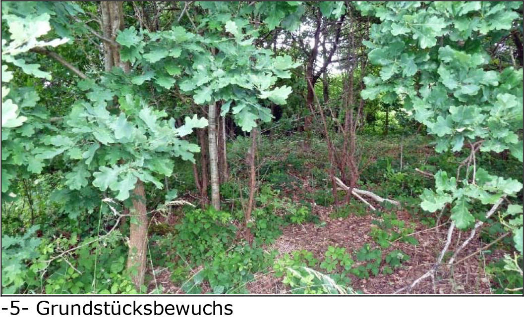 unbebautes Grundstück in St.-Omer-Straße, 00000 - Bild 2