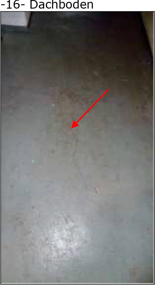 nordrheinwestpfalen 0021K0007-2024 Buchenstraße 1, 3, 32791 Lage 18