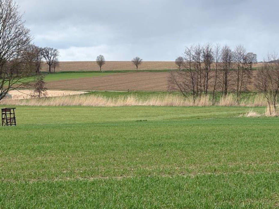 nordrheinwestpfalen 0021 K 0010/2025 Talstraße 52, 32825 Blomberg, Mossenberg-Wöhren 10