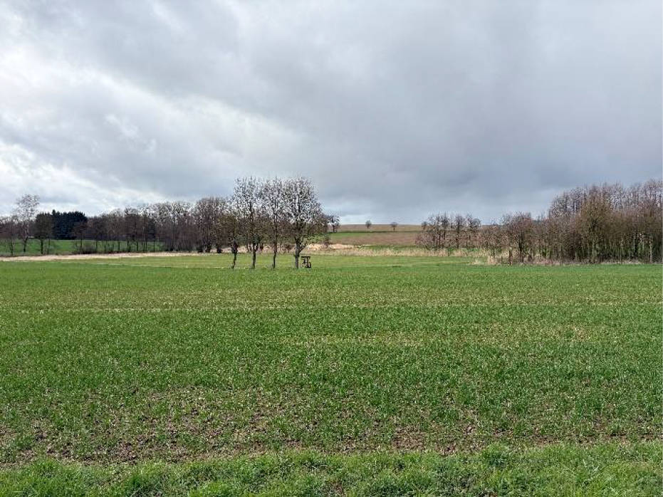 nordrheinwestpfalen 0021 K 0010/2025 Talstraße 52, 32825 Blomberg, Mossenberg-Wöhren 9