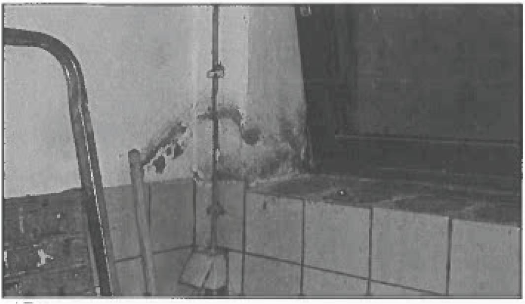 nordrheinwestpfalen 0021K0011-2024 Niesetalstraße 36, 32816 Schieder-Schwalenberg, Lothe