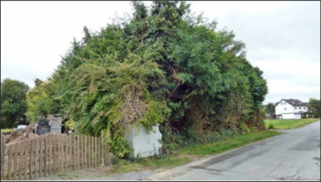 nordrheinwestpfalen 0021 K 0027/2025 , 32791 Lage 5