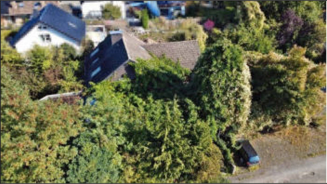 nordrheinwestpfalen 0021 K 0027/2025 , 32791 Lage 4