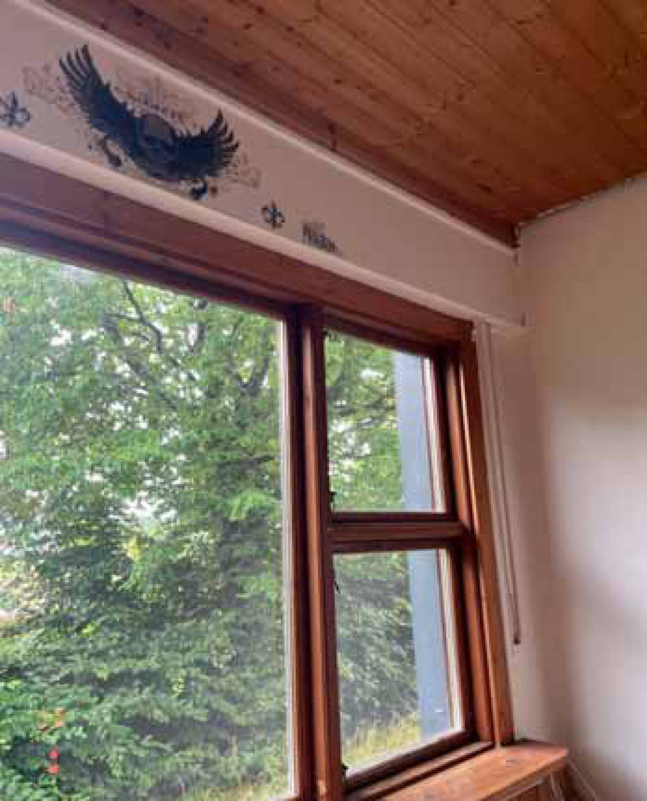 nordrheinwestpfalen 0021 K 0029/2025 Am Hinteren Kamp 26, 32758 Detmold 8