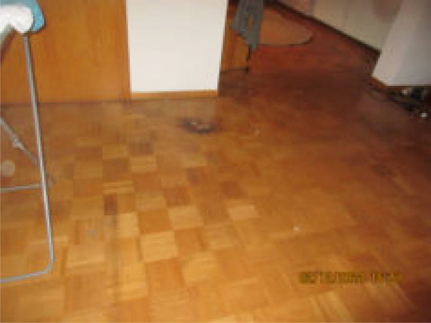 nordrheinwestpfalen 0021K0030/2024 Kampmannsweg 17, 32791 Lage 8